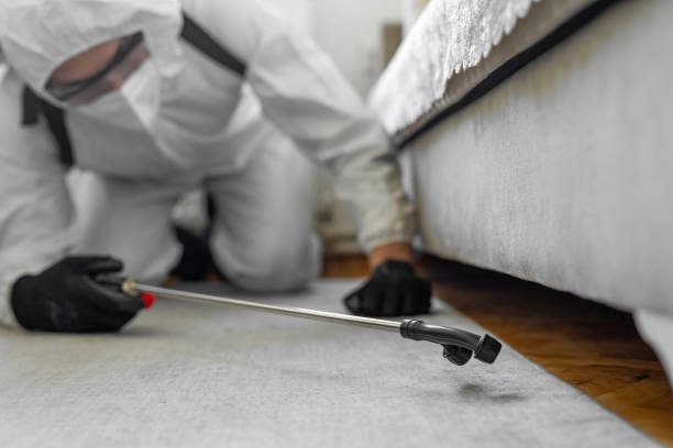 Professional Wasp Control technician working in Vero Beach South, FL