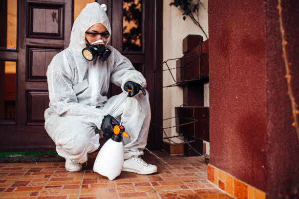 Reliable Cockroach Control contractor in Vero Beach South, FL by Nex Pest Control